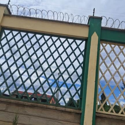 Fabricated steel gate and perimeter metalwork